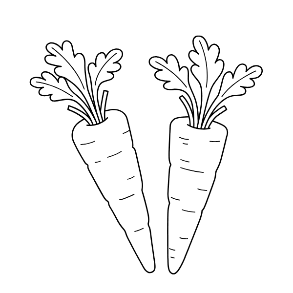 ระบายสี ผักแครอท