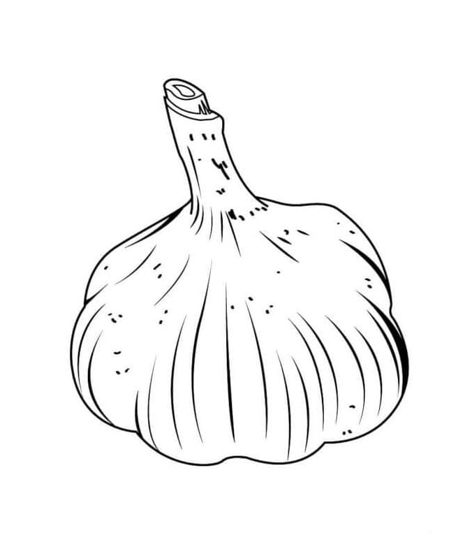 ระบายสี ผักกระเทียม