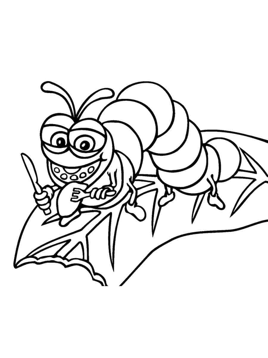 ระบายสี ภาพหนอนผีเสื้อ