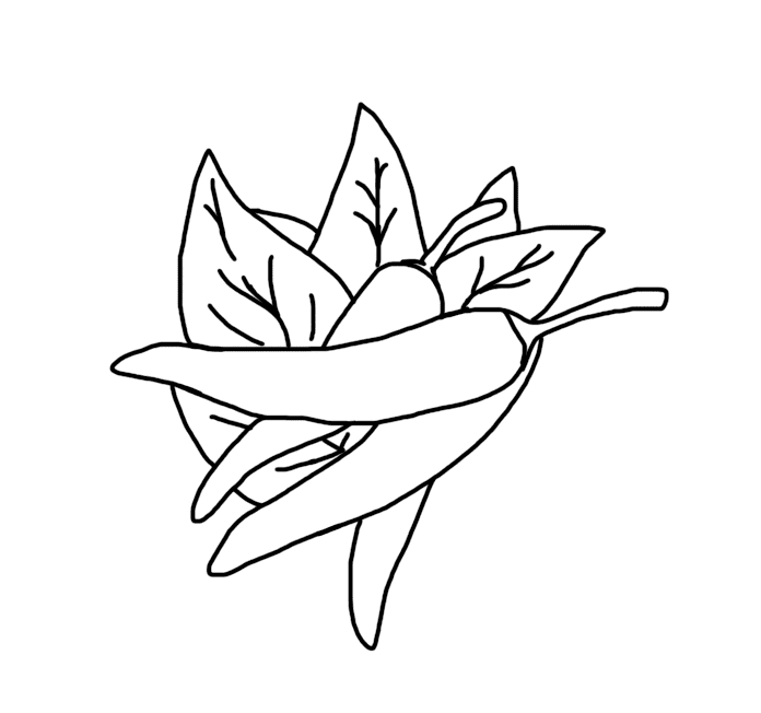 ระบายสี พริกชี้ฟ้าผัด