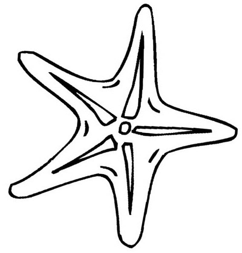 ระบายสี รูปปลาดาวสำหรับพิมพ์ สำหรับเด็ก
