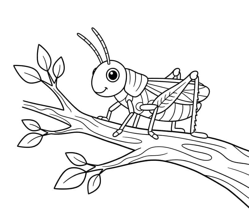 ระบายสี ตั๊กแตนบนกิ่งไม้