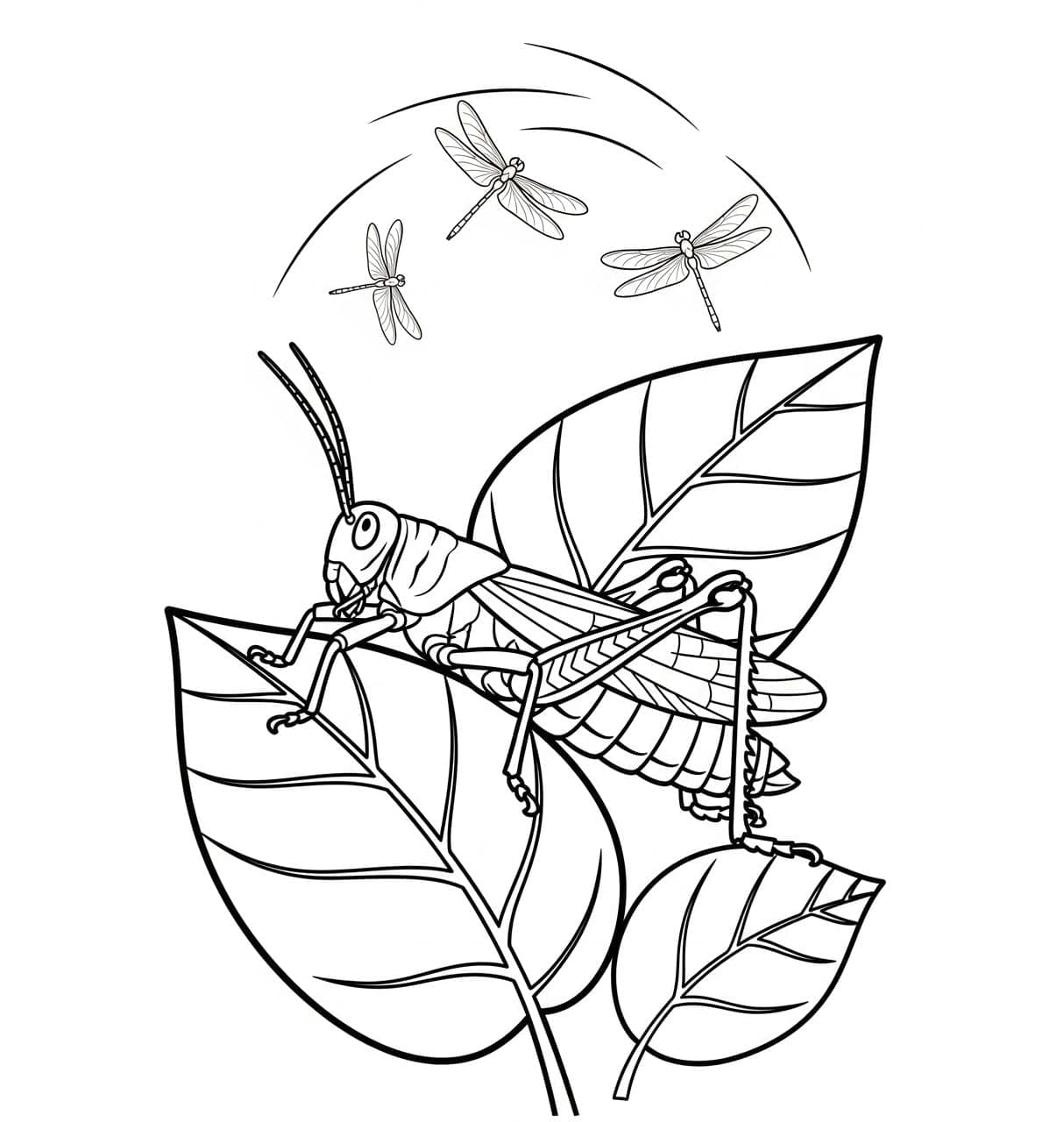 ระบายสี ตั๊กแตนและแมลงปอ