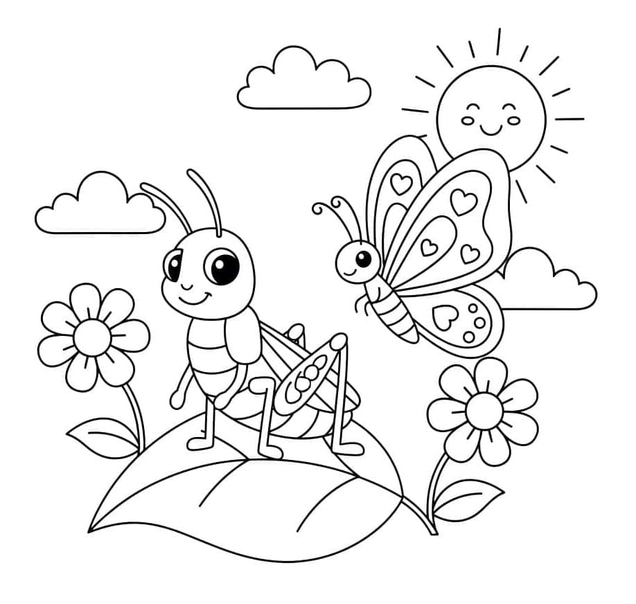 ระบายสี ตั๊กแตนสำหรับเด็ก