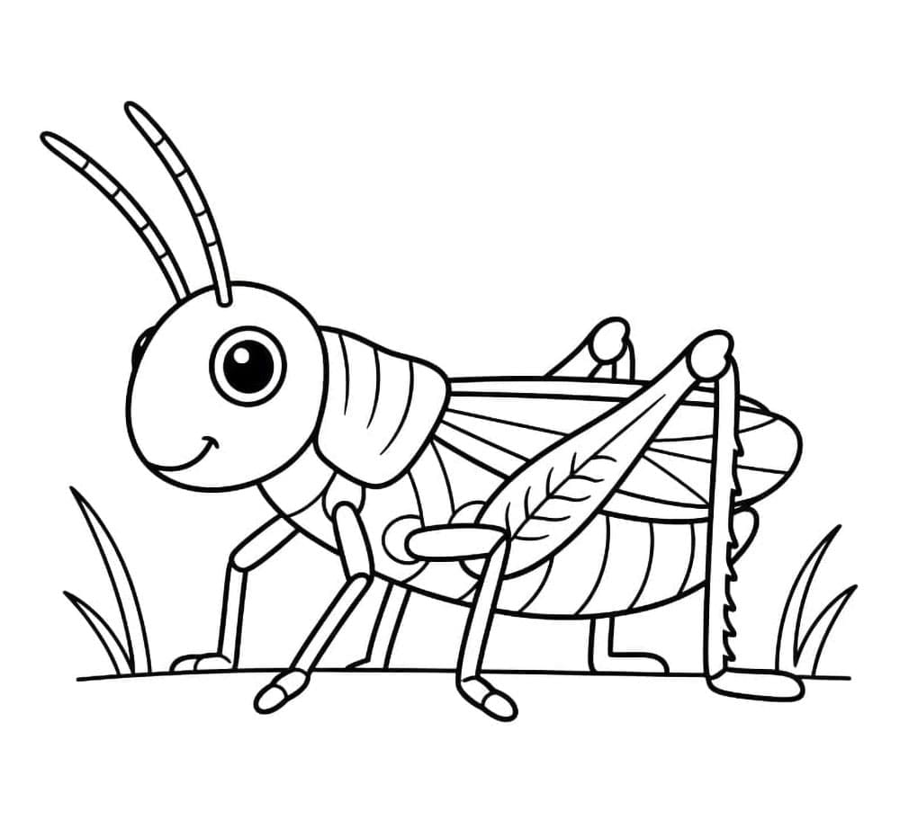 ระบายสี ตั๊กแตนยิ้ม