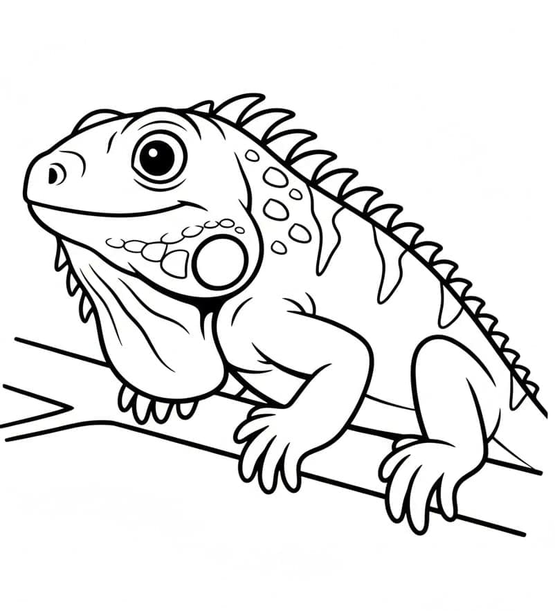 ระบายสี อีกัวน่าให้เด็กฟรี