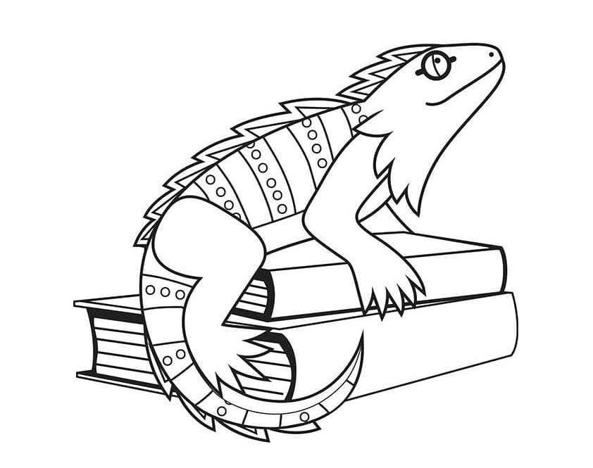 ระบายสี อีกัวน่านั่งอยู่บนหนังสือ