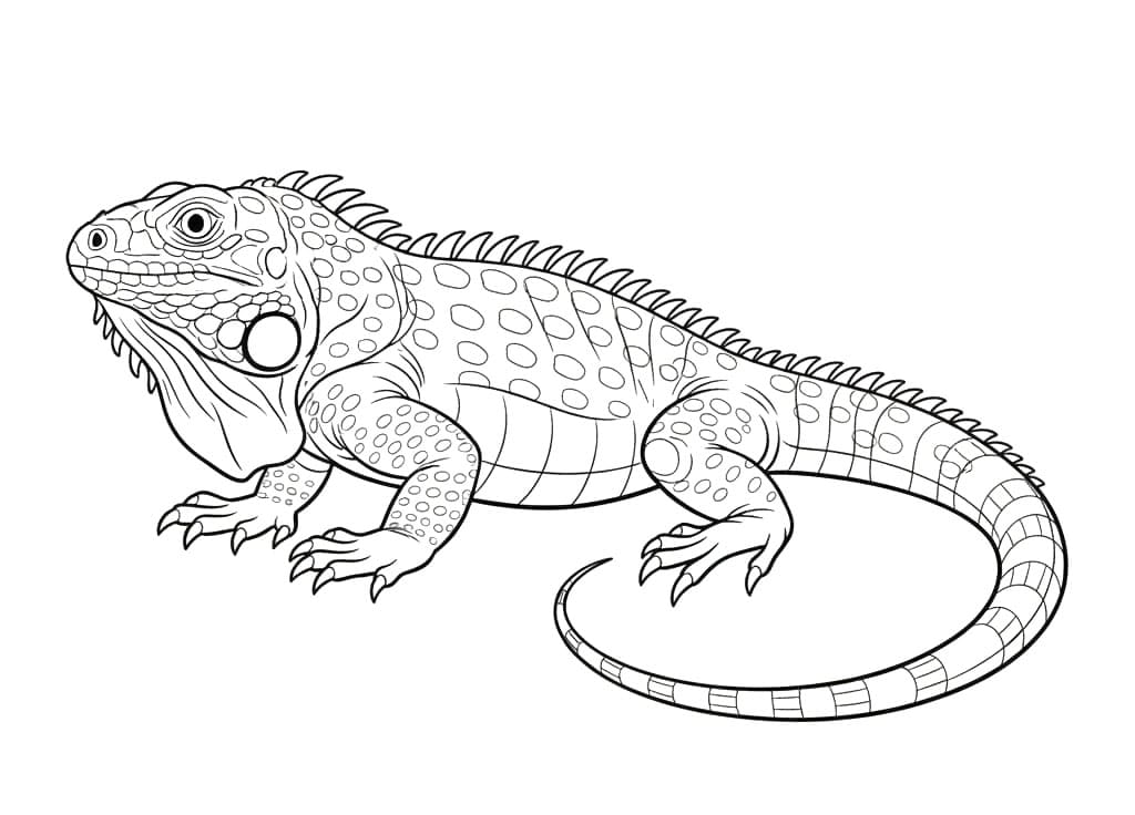 ระบายสี อีกัวน่าสำหรับพิมพ์