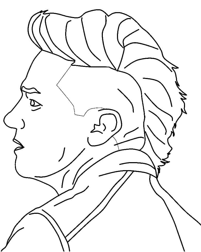 ระบายสี ใบหน้าของฮอว์คอาย