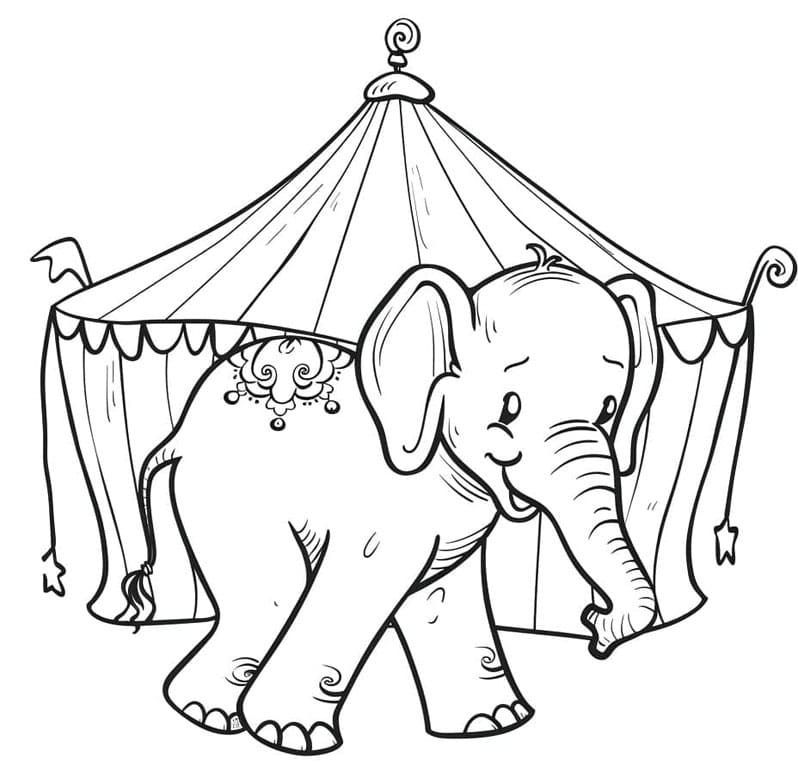 ระบายสี ช้างและเต็นท์ละครสัตว์