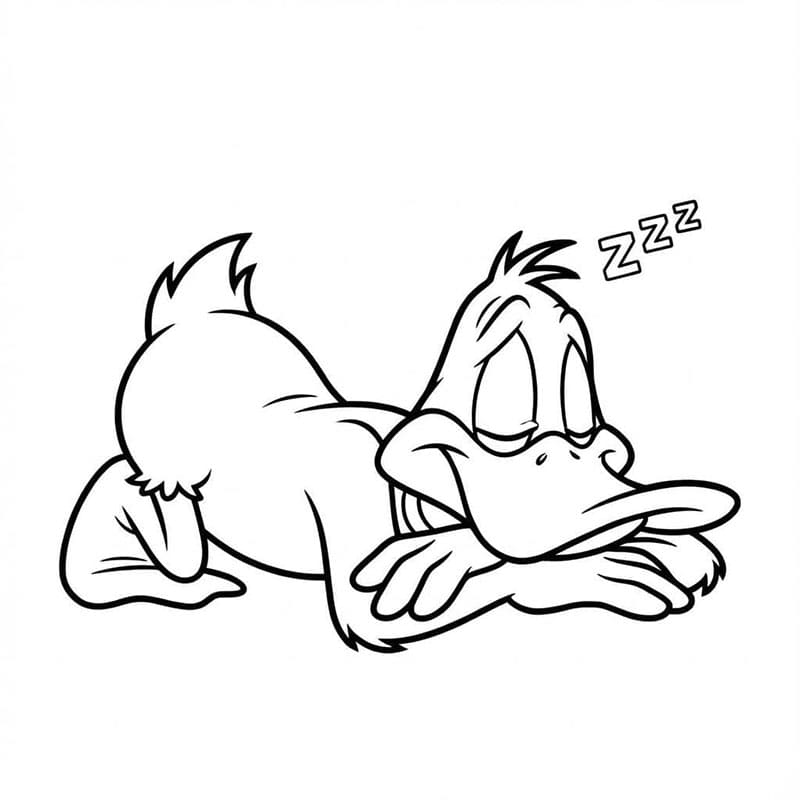 ระบายสี ดัฟฟี่ ดั๊กกำลังนอนหลับ