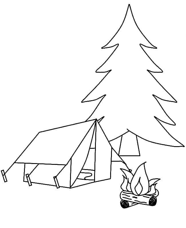 ระบายสี การจับฉลากแคมป์ปิ้ง