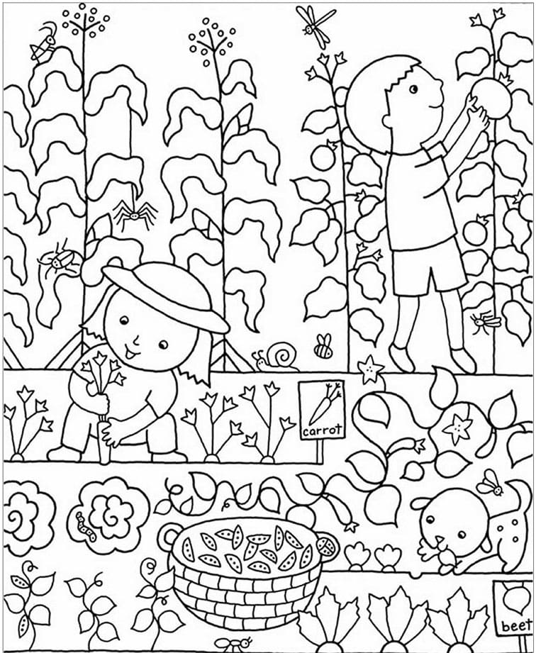 ระบายสี การทำสวนสำหรับเด็ก