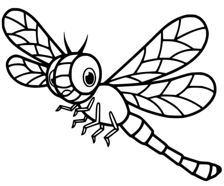 ระบายสี แมลงปอการ์ตูนน่ารัก