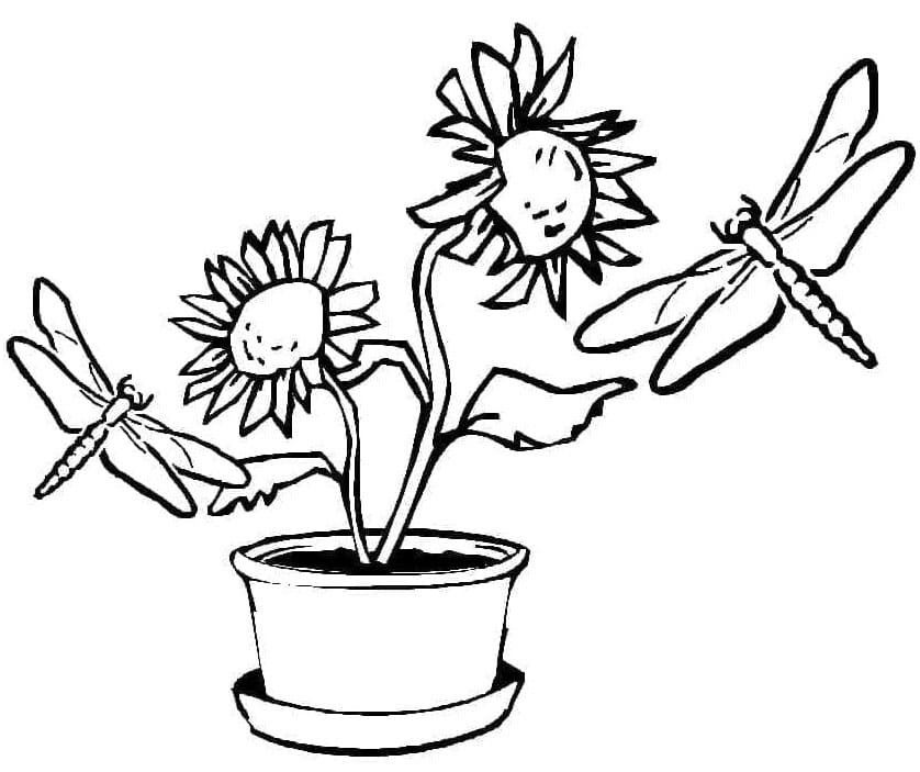 ระบายสี แมลงปอและดอกทานตะวัน