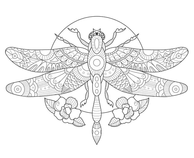 ระบายสี แมลงปอทำเครื่องประดับฝีมือเยี่ยม