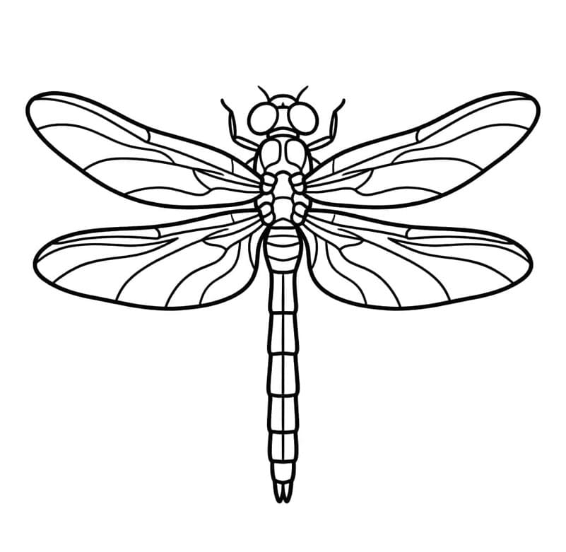 ระบายสี แมลงปอทองฝีมือดี