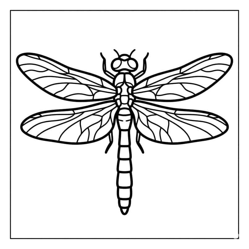 ระบายสี แมลงปอทองคลาสสิก