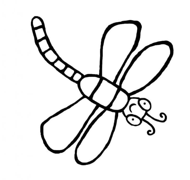 ระบายสี แมลงปอทองน่ารักเรียบง่าย