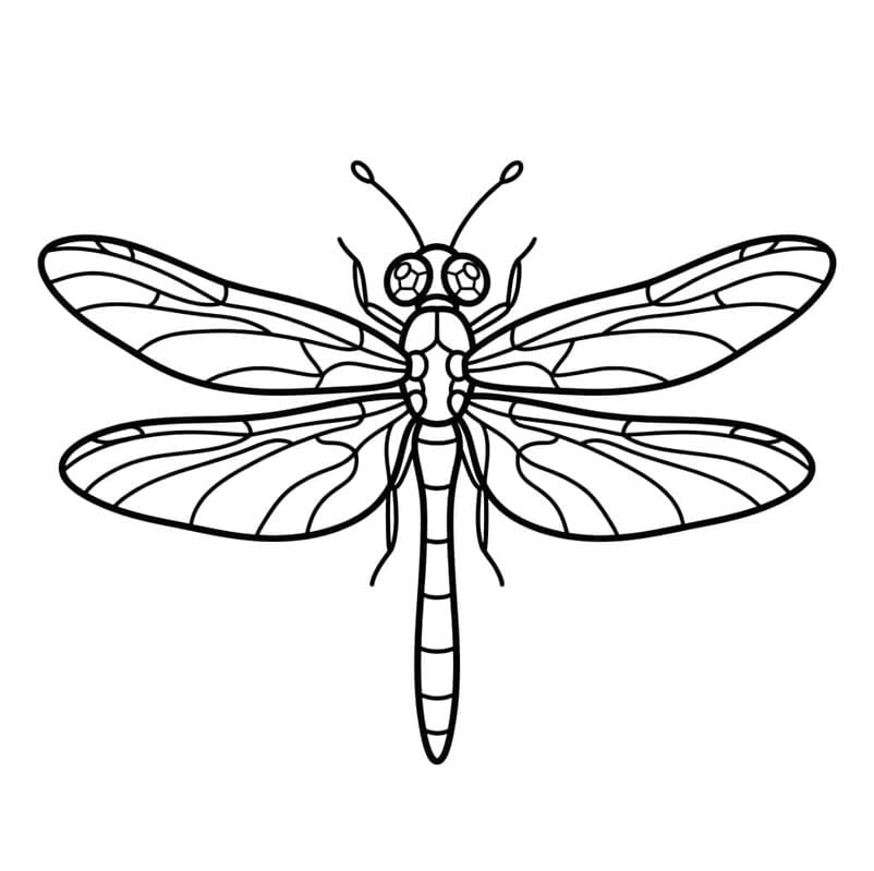 ระบายสี แมลงปอทองผู้สง่างาม