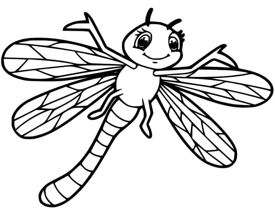 ระบายสี แมลงปอทองที่น่ารัก