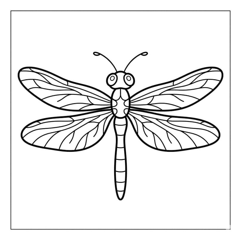 ระบายสี แมลงปอทองธรรมดา