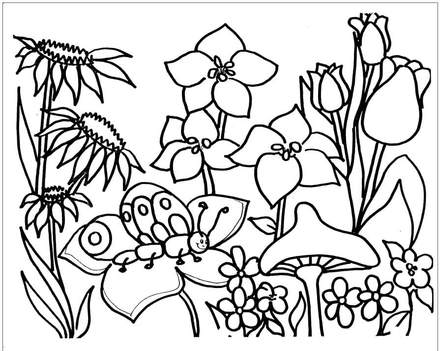 ระบายสี สวนดอกไม้