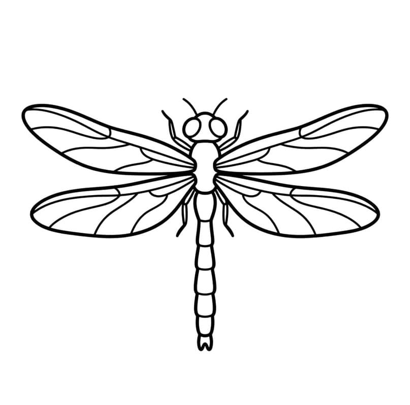 ระบายสี อีซี่ แมลงปอ