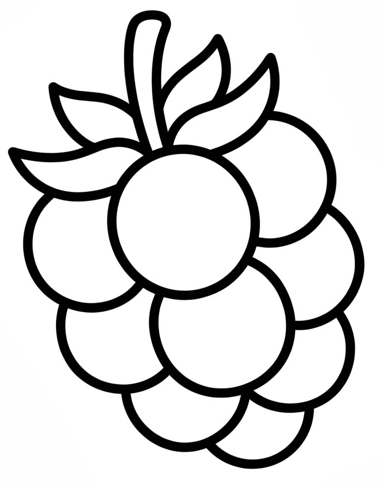 ระบายสี การวาดภาพ ราสเบอร์รี่ สำหรับเด็ก