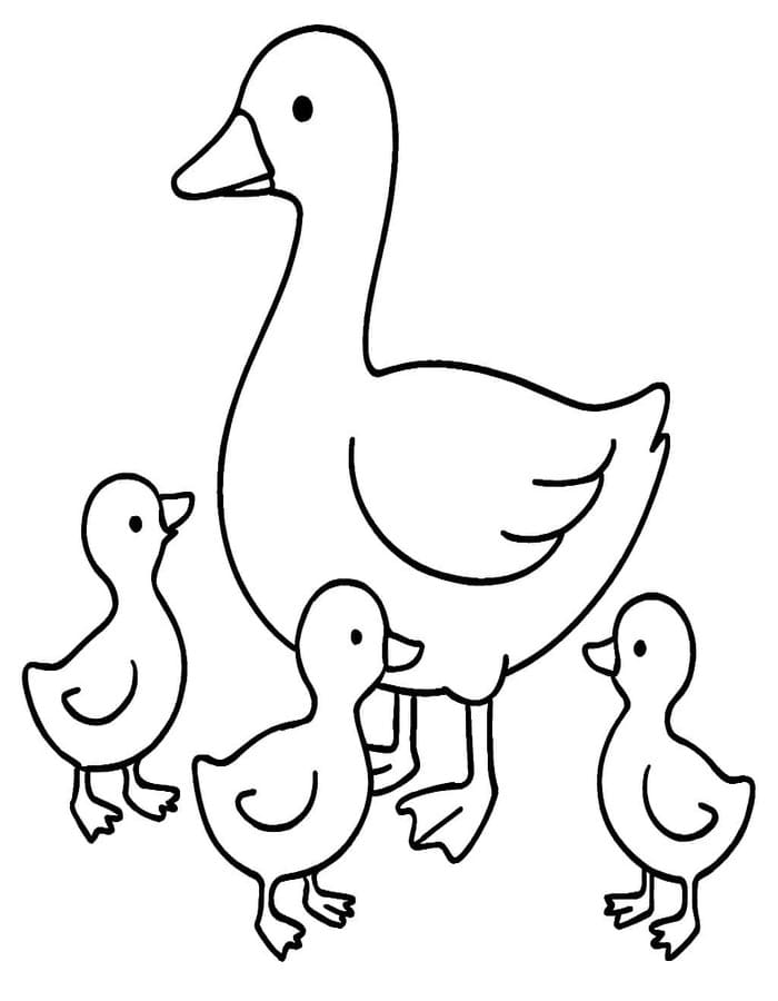 ระบายสี ห่านและลูกห่าน