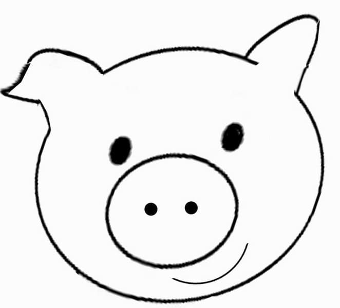 ระบายสี หมูใบหน้าและศีรษะ