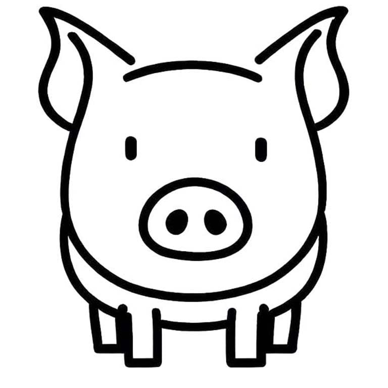 ระบายสี หมูใบหน้า