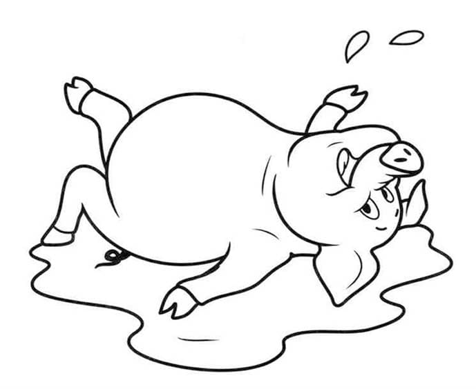 ระบายสี หมูการวาดภาพ