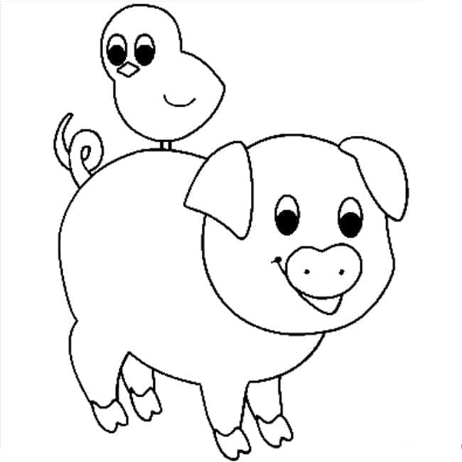 ระบายสี หมูและชิม