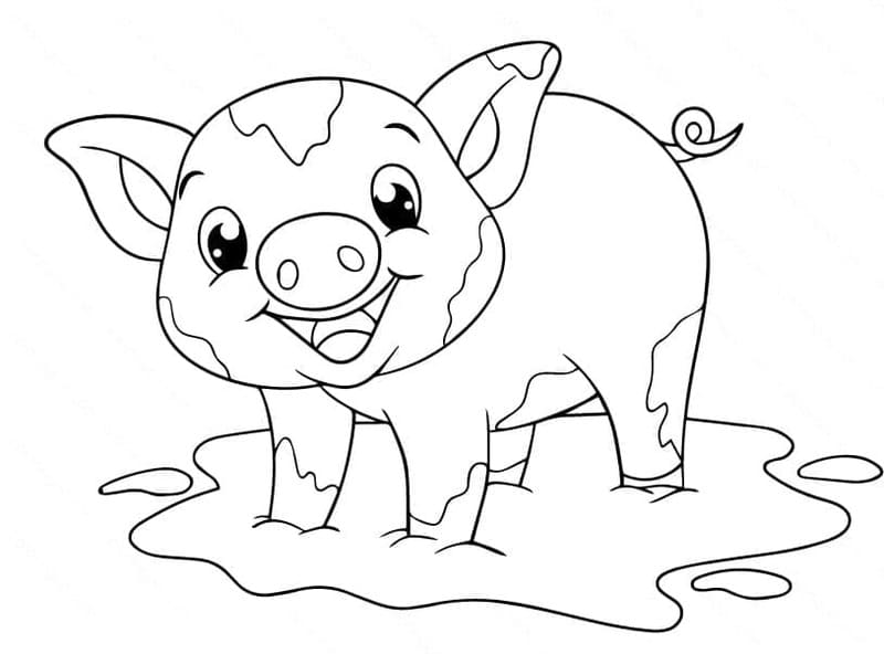 ระบายสี หมูเล่นโคลน