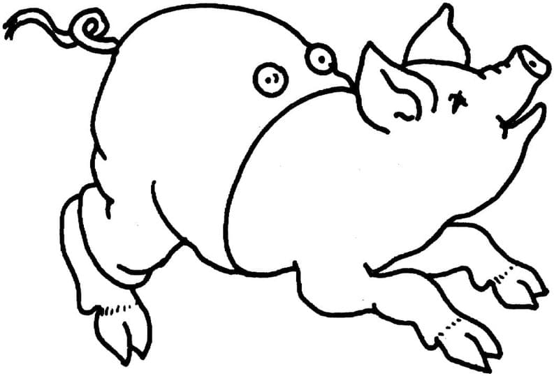 ระบายสี หมูน่ารัก