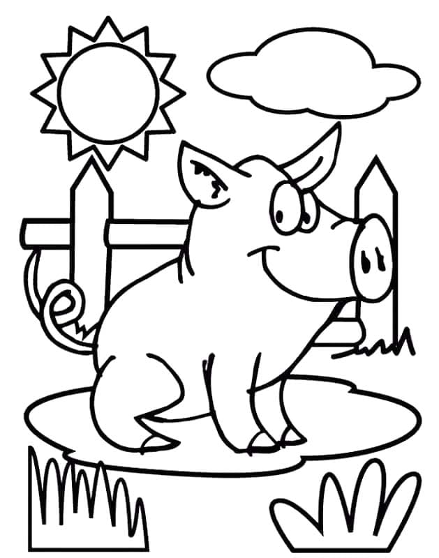 ระบายสี หมูนั่งเล่น