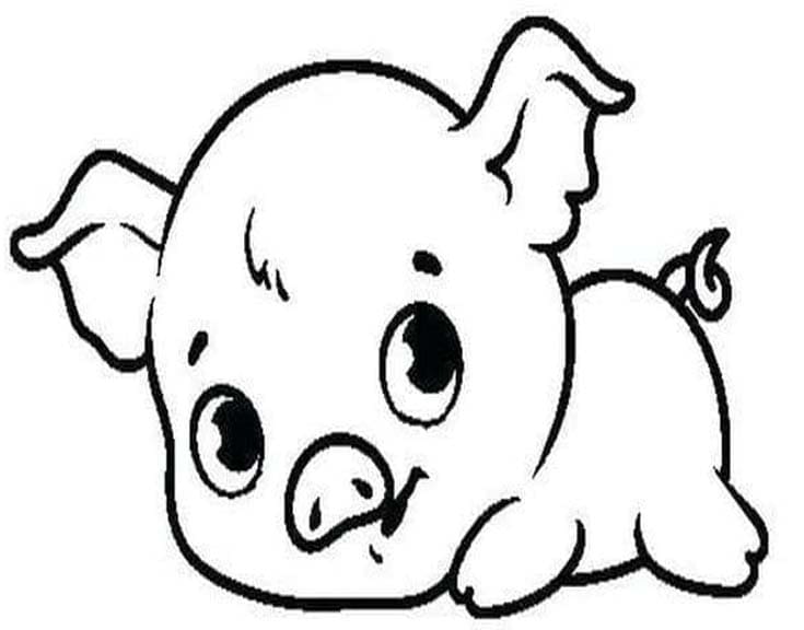 ระบายสี หมูน้อย