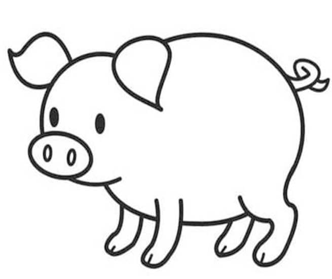 ระบายสี หมูภาพวาด