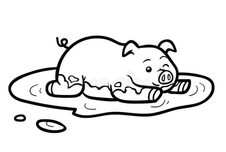 ระบายสี หมูพิมพ์