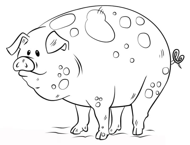ระบายสี หมูป่วย