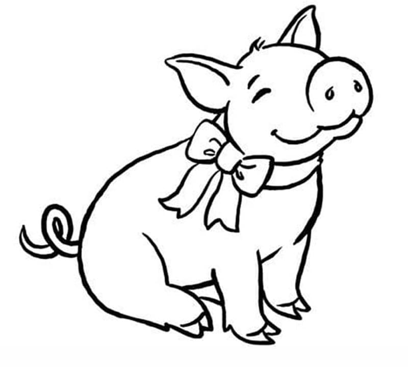 ระบายสี หมูใส่โบว์