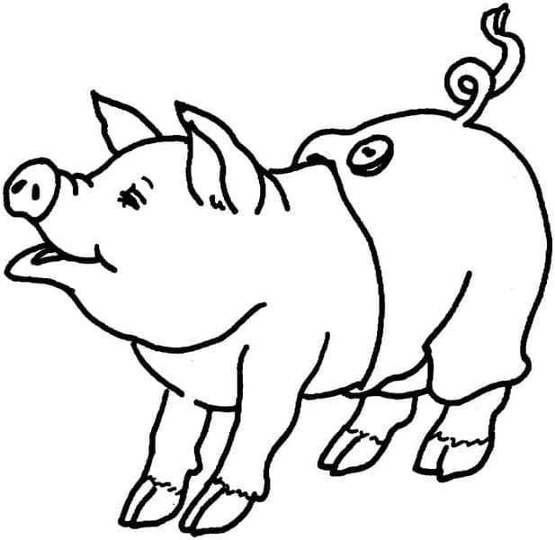 ระบายสี หมูสวมกางเกง