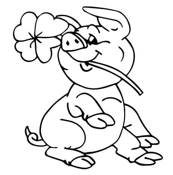 ระบายสี หมูถือดอกไม้