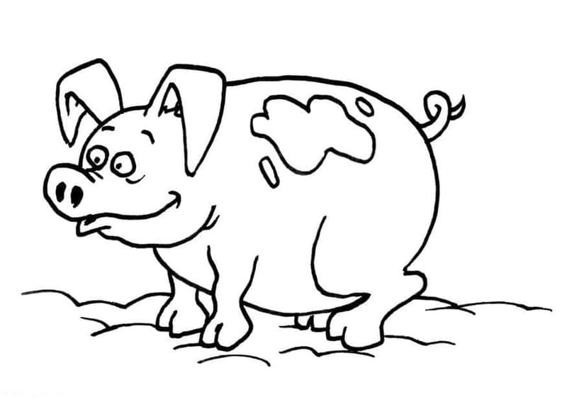 ระบายสี หมูตลก