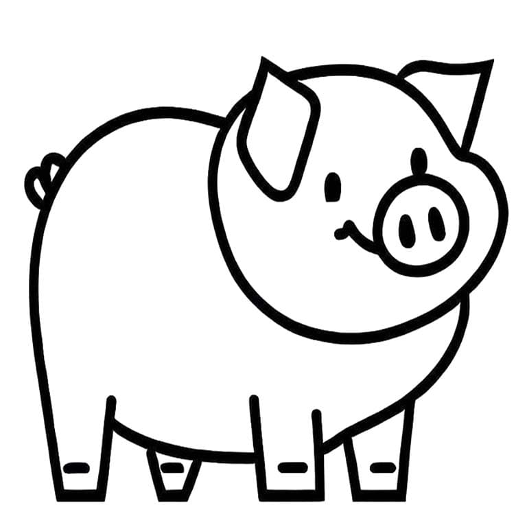 ระบายสี หมูอ้วนกลม