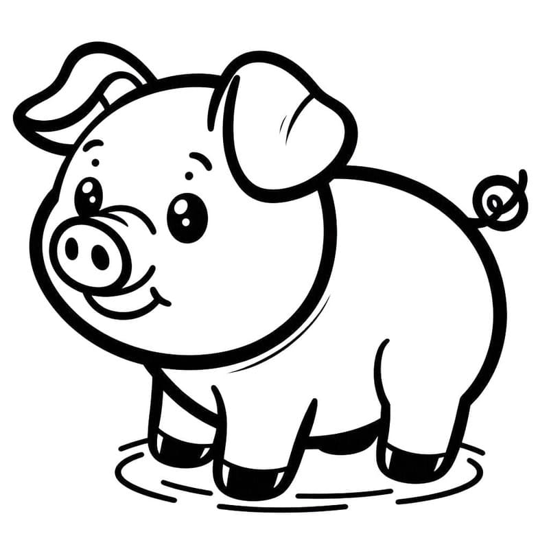ระบายสี หมูอ้วน