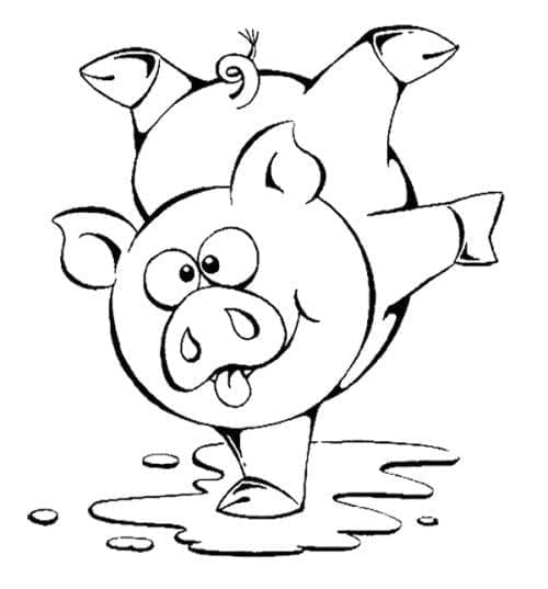 ระบายสี การวาดภาพหมู