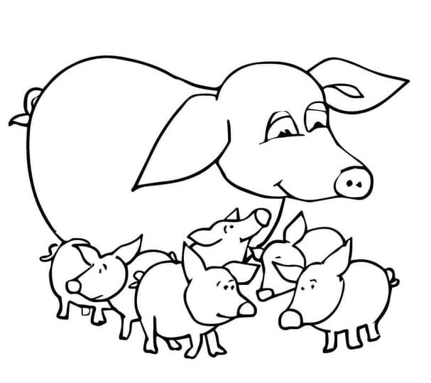 ระบายสี หมู