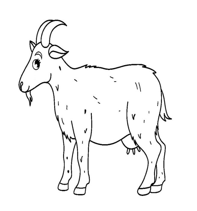 ระบายสี แพะเดินบนทางดิน